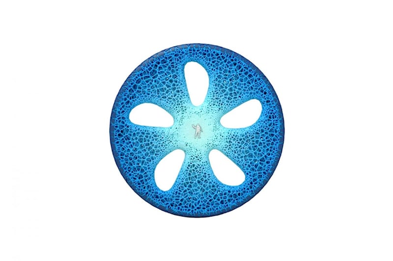 Michelin Visionary Concept