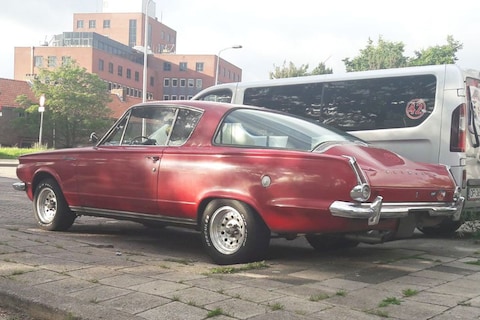 In het Wild: Plymouth Barracuda (1964)
