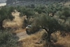 Volkswagen T-Roc teaser