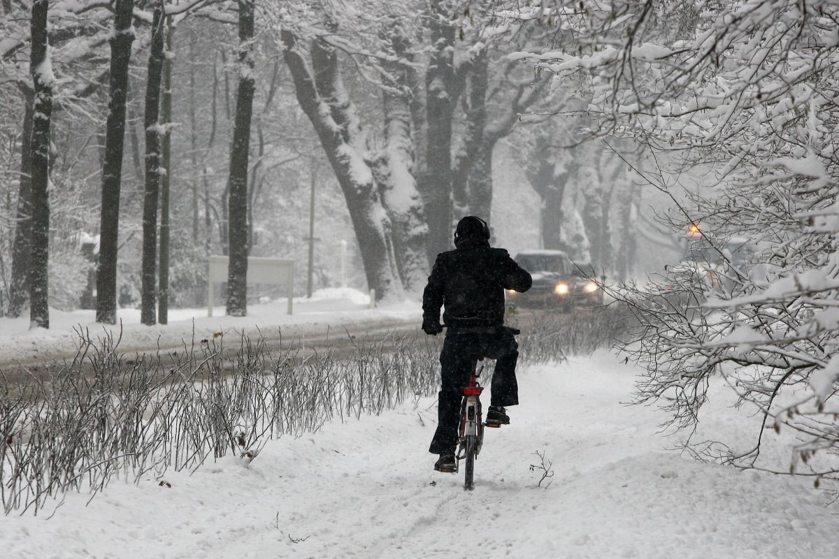 Sneeuw winter koud glad ijs krabben