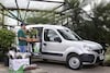 Renault Kangoo Argentinië