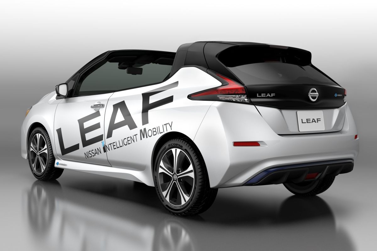 Nissan Leaf Open Car