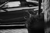 Honda S660 Neo Classic
