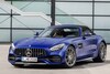 Mercedes-AMG GT en AMG GT R Pro