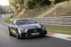 Mercedes-AMG GT en AMG GT R Pro