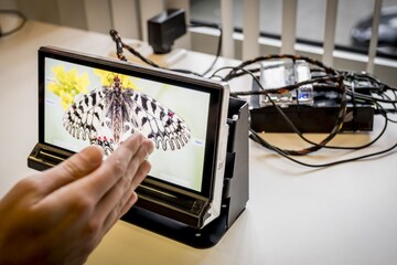 Innolux infotainment scherm 