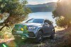 Mercedes-AMG GLE 53 4Matic+