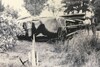 Bentley Corniche Mulliner