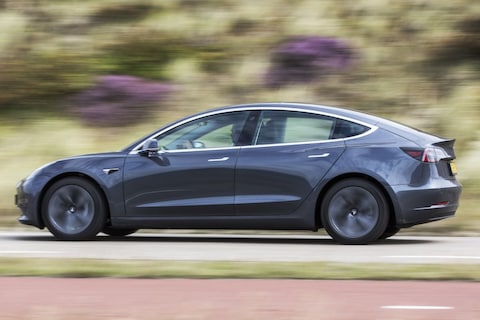 Zorgen rond Duitse Tesla-fabriek door wilde dieren