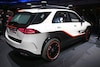 IAA Frankfurt 2019