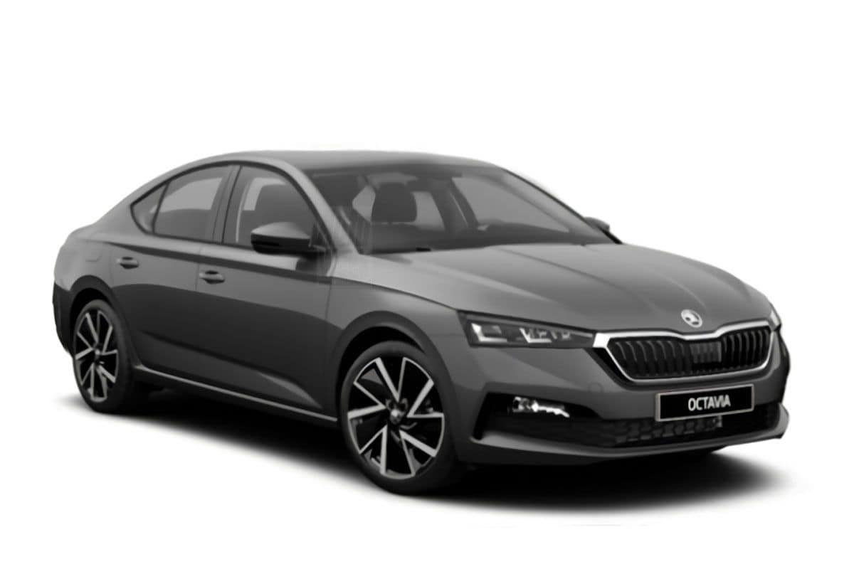 Skoda Octavia gelekt