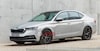 Skoda Octavia gelekt