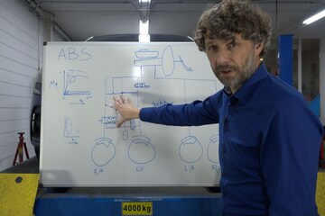 ABS - Cornelis Schetst