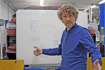 Cornelis schetst - Mild Hybrid