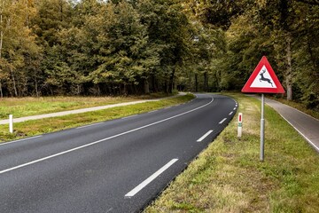 Campagne wildaanrijdingen