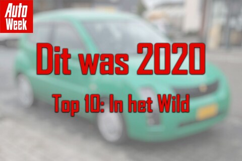 Top 10 van 2020: In het Wild