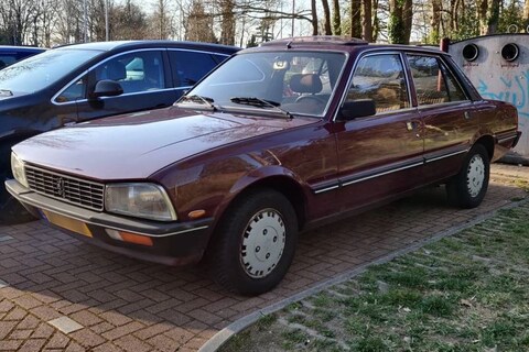 Peugeot 505 (1983) - In het Wild