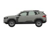 Patentplaten Dacia Bigster