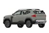 Patentplaten Dacia Bigster