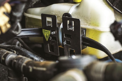 Zo voorkom je schade door een steenmarter