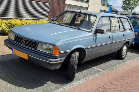 Peugeot 305 Break (1983) - In het Wild