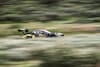 bentley Continental GT3 Pikes Peak