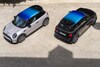 Mini Multitone Roof