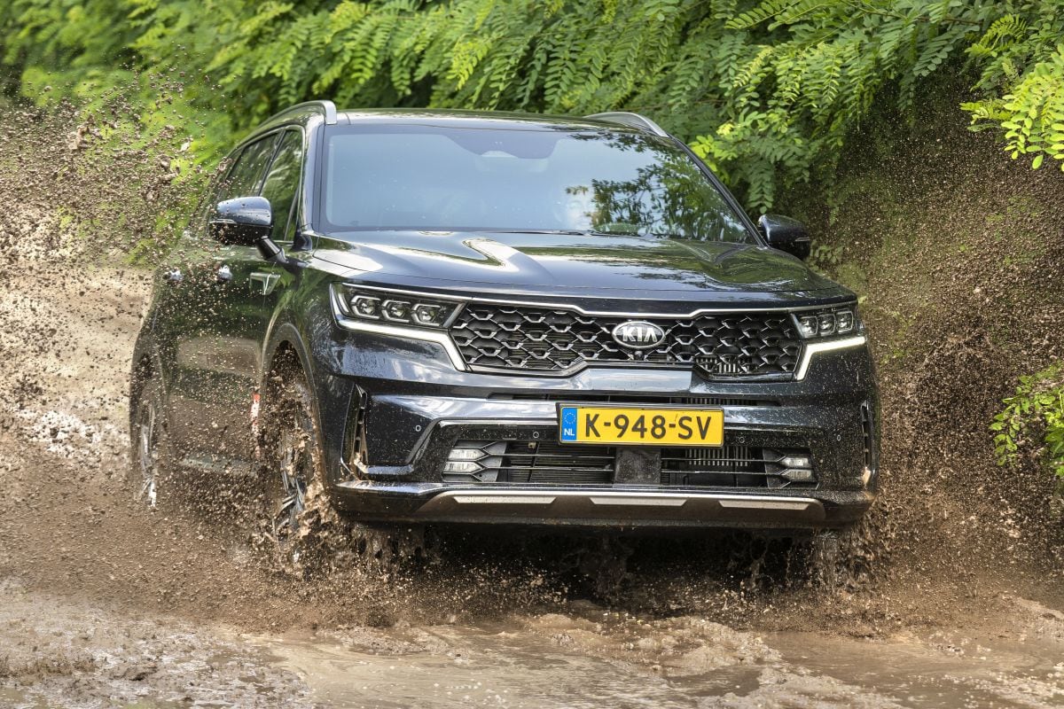 Jeep Wrangler, Range Rover Evoque, Kia Sorento