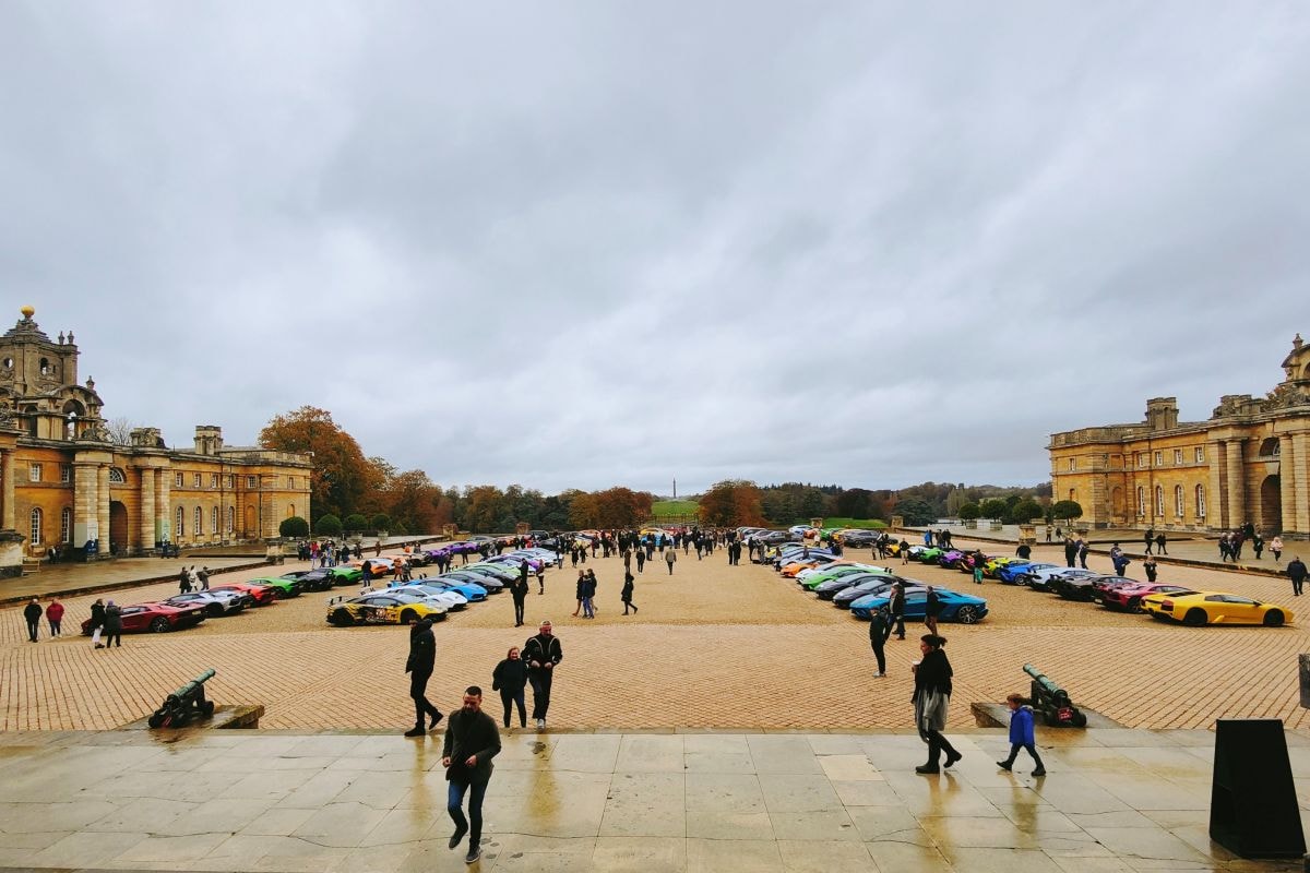 Lamborghini Movember