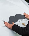 Lamborghini Movember