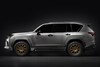 Lexus offroad