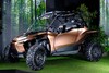 Lexus offroad