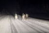 Tesla Model 3 Scandinavië Noorderlicht