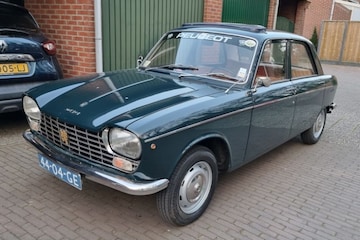 Peugeot 204 in het wild