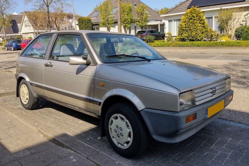 Seat Ibiza in het wild