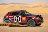 Nissan Juke Rally Tribute