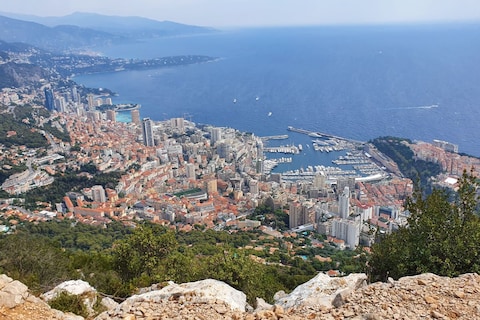 Dit zijn de populairste auto’s in Monaco