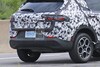 Spyshots Dodge Hornet