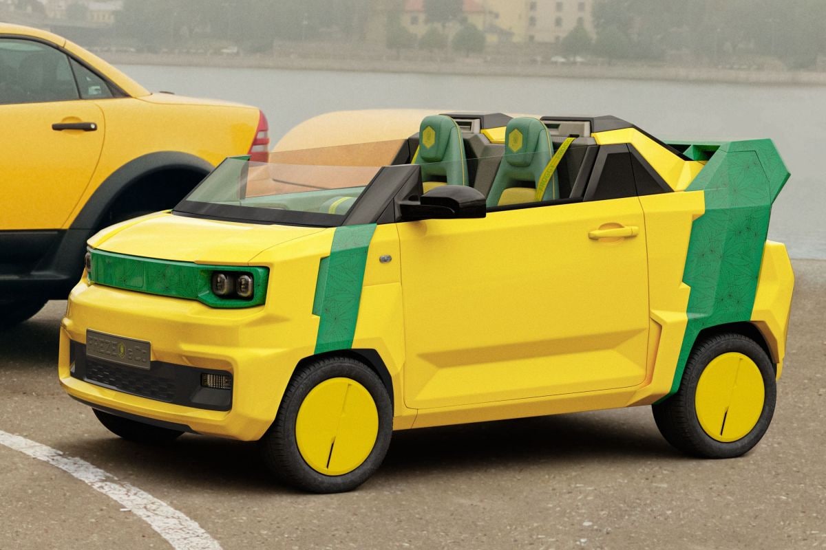 FREZE FROGGY EV BEACHSTAR