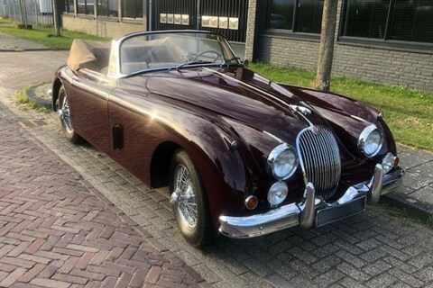 Jaguar XK150 (1959) - In het Wild