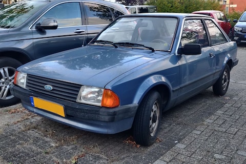 Ford Escort (1983) - In het Wild