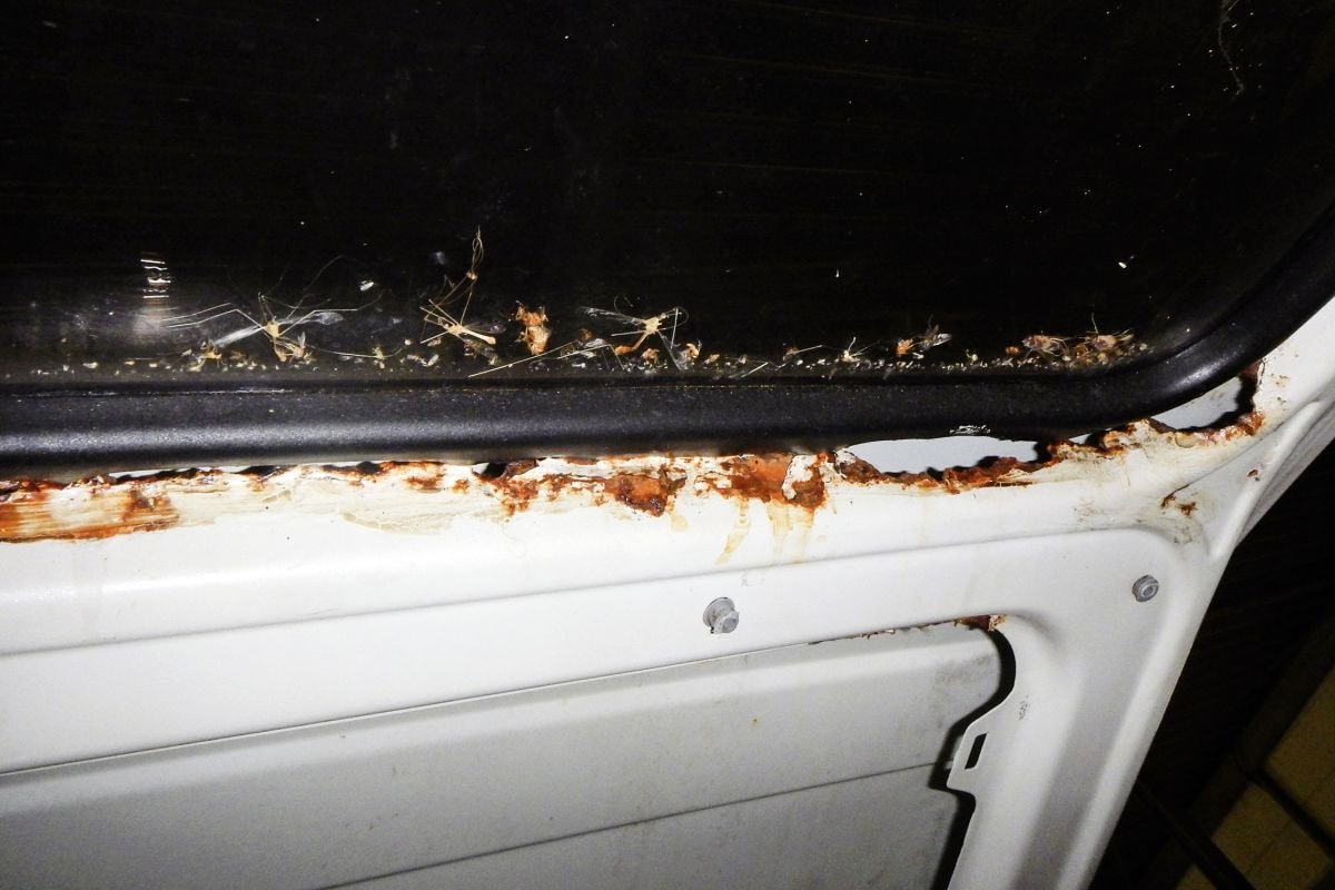 Roest bij campers T3 1984 zijruiten en dorpels