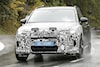 Spyshots Cupra Terramar