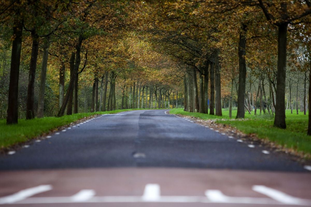 Belijning middenstreep - Spaarnwoude buitenweg ANP