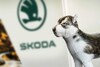 Skoda 1 april