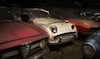 Palmen Barnfind Collection Gallery Aaldering