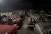 Palmen Barnfind Collection