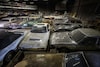 Palmen Barnfind Collection