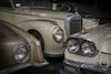 Palmen Barnfind Collection