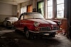 Palmen Barnfind Collection